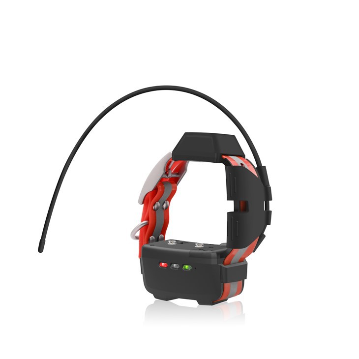 Collar Madraí Mini GPS